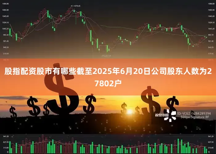 股指配资股市有哪些截至2025年6月20日公司股东人数为27802户