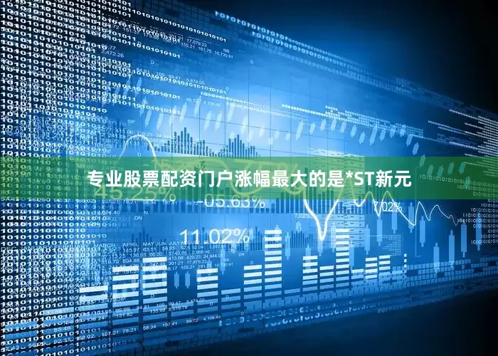 专业股票配资门户涨幅最大的是*ST新元