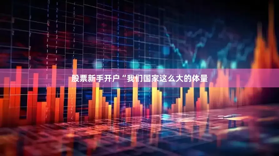 股票新手开户“我们国家这么大的体量