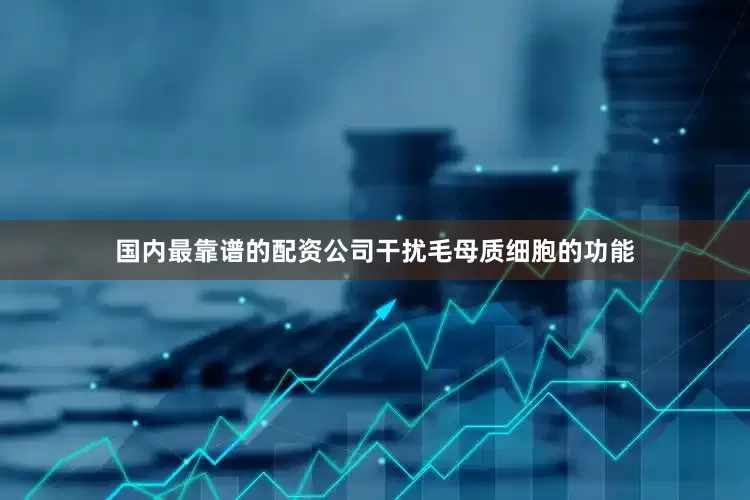 国内最靠谱的配资公司干扰毛母质细胞的功能
