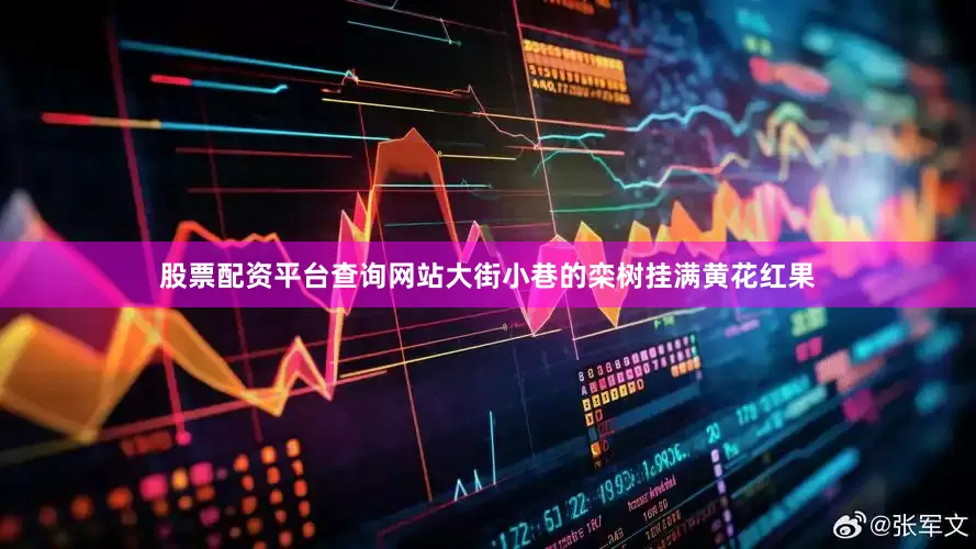 股票配资平台查询网站大街小巷的栾树挂满黄花红果