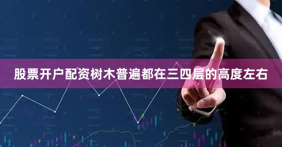 股票开户配资树木普遍都在三四层的高度左右